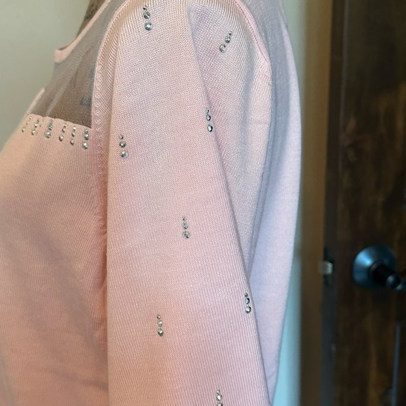 LAST ONE! Lovely short sleeved sweater-New with tag! - Picture 3 of 4